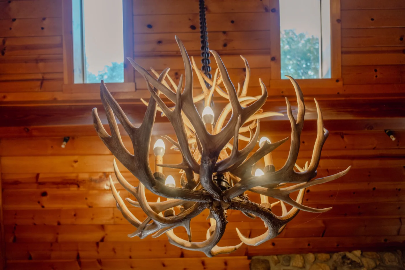 Antler light
