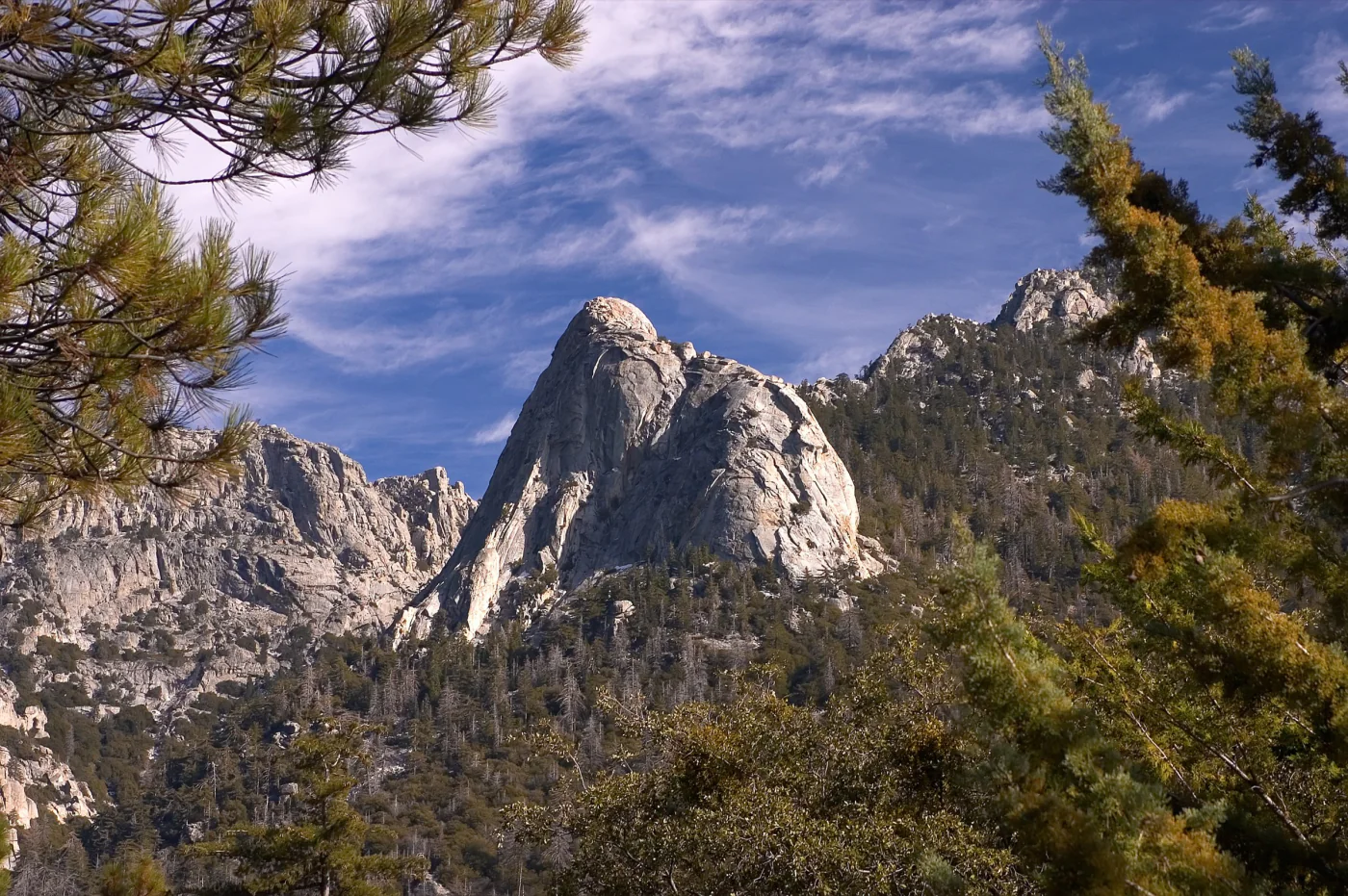 The granite dome of Tahquitz Peak rising above the forest